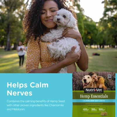 Hemp Peanut Butter & Honey Flavor Calming Soft Chew Supplement for Adult Dogs, 12.7-oz