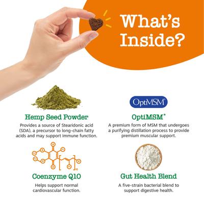 Hemp Elements 8-in-1 Bites Chicken Flavored Soft Chews Multivitamin for Dogs, 180 count