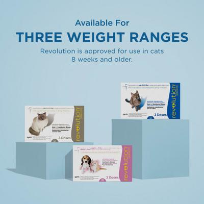Solución tópica para gatos, 15.1-22 lbs, (caja gris topo), 6 dosis (suministro para 6 meses)