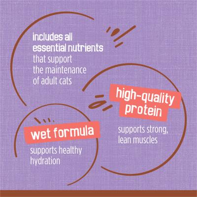 Extra Gravy Chunky with Turkey in Savory Gravy Canned Cat Food, 5.5-oz, case of 24