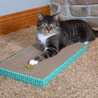 Premium Natural Catnip, 3 count