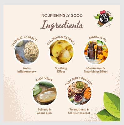 Sensitive Soul Gentle Formula Shampoo, 16-fl oz bottle