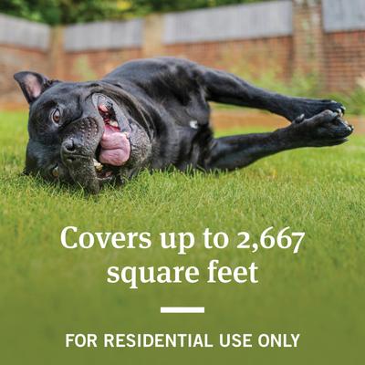 Home Yard & Premise Flea & Tick Spray Treatment, 32-fl oz bottle