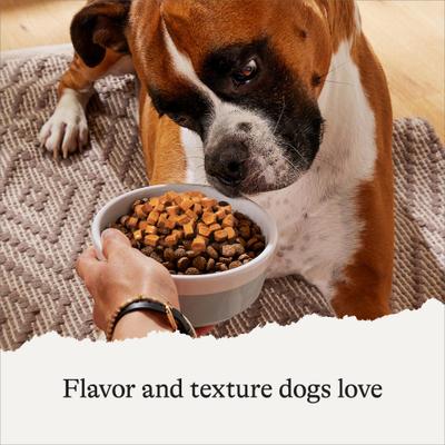 Savory Toppers Chicken Recipe in Gravy Grain-Free Dog Food Topper, 3-oz pouches, case of 24