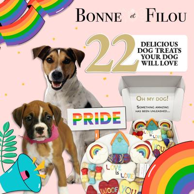 Human-Grade Pride Themed Dog Treats Gift Box, 22 count