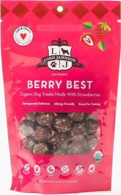 Savory Sweet Vegan Dog Treats, 6-oz bag