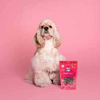 Berry Best Vegan Dog Treats, 6-oz bag