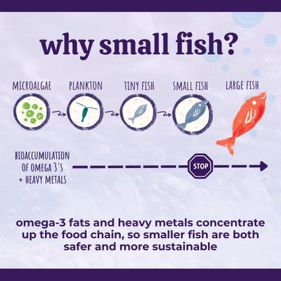 Austin's Everything Oil Omega Fish Oil Liquid Skin & Coat Supplement for Dogs, 16-fl oz bottle