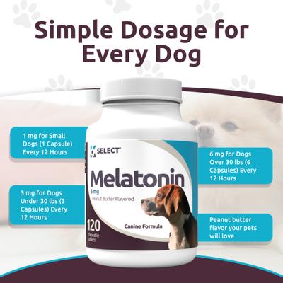 Melatonin 6 MG Peanut Butter Flavored Calming Supplement for Dogs, 120 count