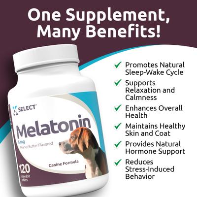 Melatonin 6 MG Peanut Butter Flavored Calming Supplement for Dogs, 120 count