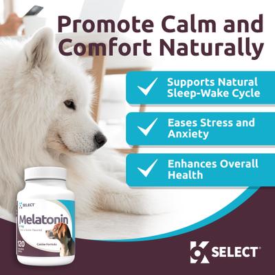 Melatonin 6 MG Peanut Butter Flavored Calming Supplement for Dogs, 120 count