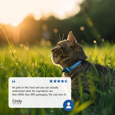 N&D Prime Boar & Apple Grain-Free Wet Cat Food, 2.46-oz can, case of 24