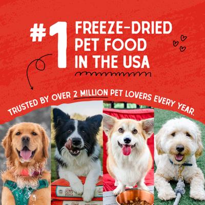 Duck Duck Goose Dinner Patties Freeze-Dried Raw Dog Food, 50-oz bundle