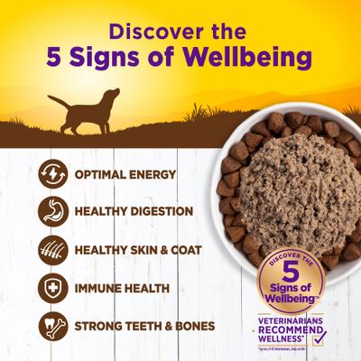 Complete Health Duck & Sweet Potato Formula Canned Dog Food, 12.5-oz, case of 12