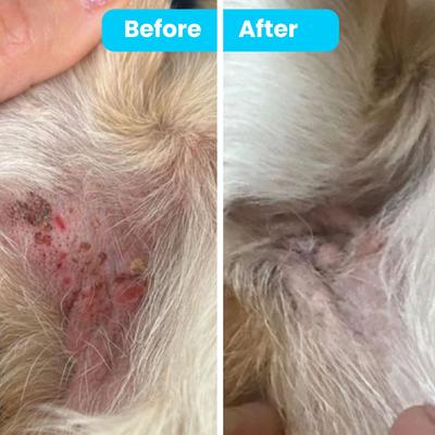 Organic Hypoallergenic Itch Soother Dog Balm, 0.15-fl oz tube