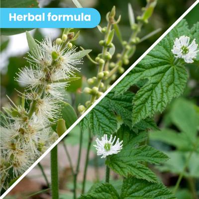 Organic Hypoallergenic Itch Soother Dog Balm, 0.15-fl oz tube