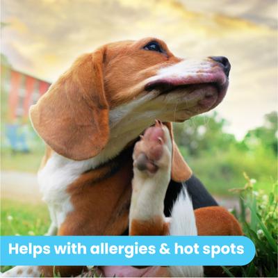 Organic Hypoallergenic Itch Soother Dog Balm, 0.15-fl oz tube