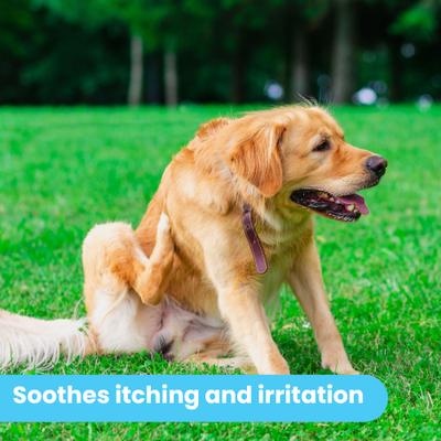 Organic Hypoallergenic Itch Soother Dog Balm, 0.15-fl oz tube