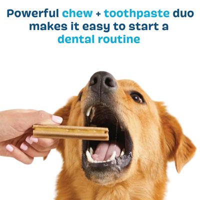 Kit dental brillante: premios dentales para perros con sabor a pollo mediano. Gel dental para perros con sabor a pollo y tomillo, 30 unidades, 2.5 oz.
