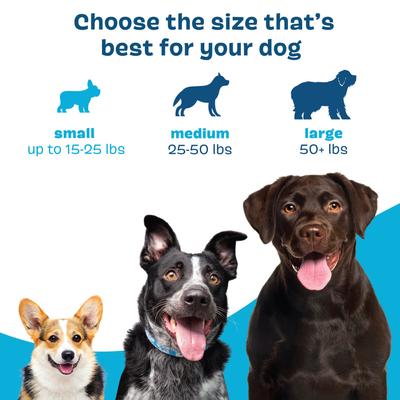 Kit dental brillante: premios dentales para perros con sabor a pollo mediano. Gel dental para perros con sabor a pollo y tomillo, 30 unidades, 2.5 oz.