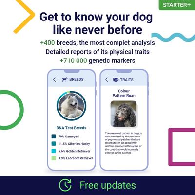 Starter PLUS Dog DNA Test