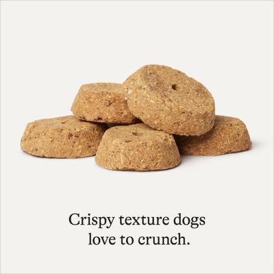 Lamb & Sweet Potato Recipe Limited Ingredient Dog Treats, 14-oz bag