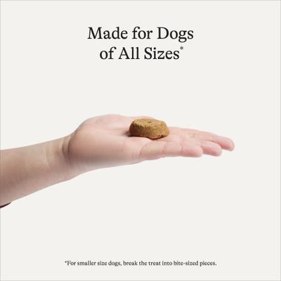 Lamb & Sweet Potato Recipe Limited Ingredient Dog Treats, 14-oz bag