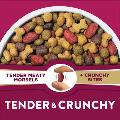 Purina Dog Chow Tender & Crunchy Adult Real Lamb & Turkey Flavor Dry Dog Food, 30-lb bag