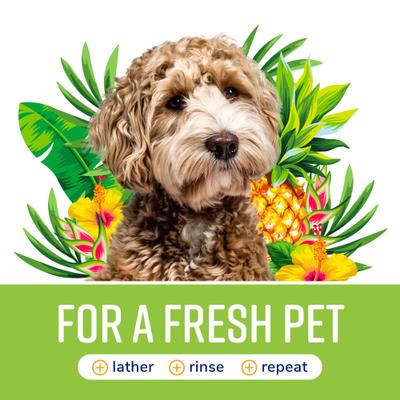 Fresh & Soothing Odor Defense Dog & Cat Shampoo, Tropical Breeze Scent, 22-fl oz bottle