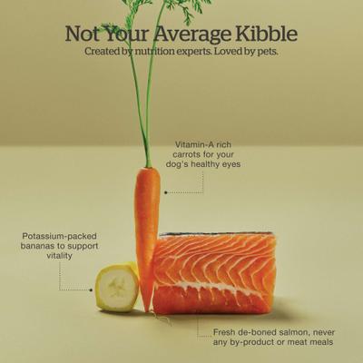 Good Gravy Ancient Grains Adult Salmon Recipe Dry Dog Food, 3.5-lb bag