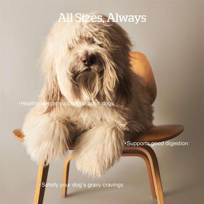 Good Gravy Ancient Grains Adult Salmon Recipe Dry Dog Food, 3.5-lb bag