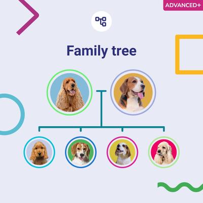 Advanced PLUS Dog DNA Test