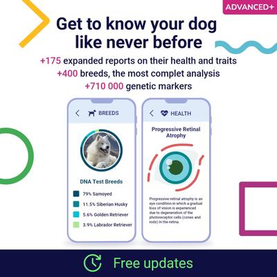 Advanced PLUS Dog DNA Test