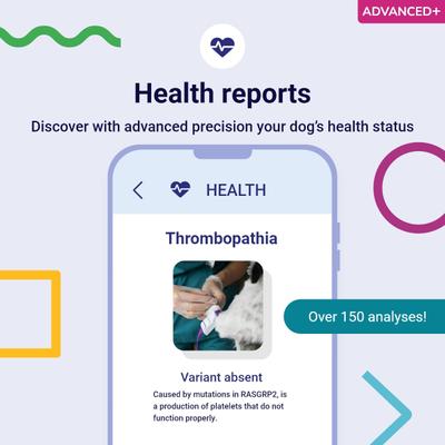 Advanced PLUS Dog DNA Test