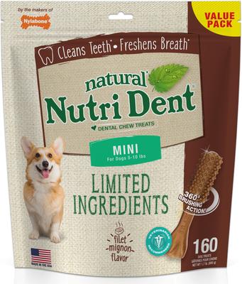 Nutri Dent Filet Mignon Flavored Dog Dental Chews, Regular, Mini, 160 Count