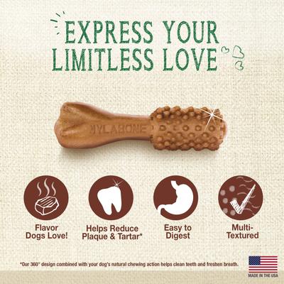 Nutri Dent Filet Mignon Flavored Dog Dental Chews, Regular, Mini, 160 Count