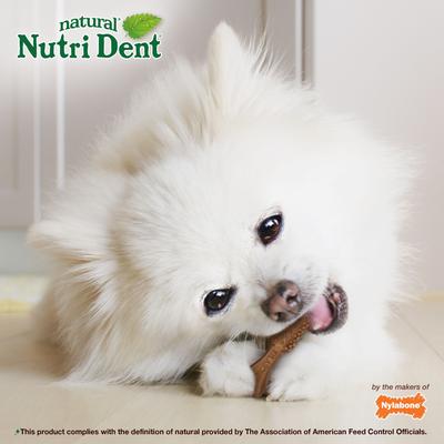 Nutri Dent Filet Mignon Flavored Dog Dental Chews, Regular, Mini, 160 Count