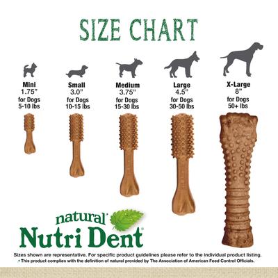 Nutri Dent Filet Mignon Flavored Dog Dental Chews, Regular, Mini, 160 Count