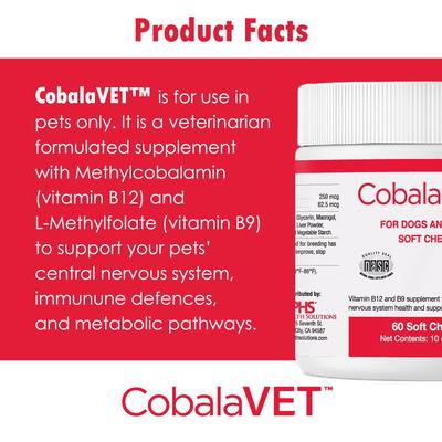 Soft Chew Supplement for Small Dogs & Cats, 60 count