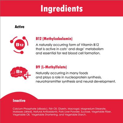 Soft Chew Supplement for Small Dogs & Cats, 60 count