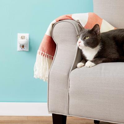 Bundle: Feliway MultiCat Calming Diffuser Refill for Cats, 1 count + World's Best Multi-Cat Unscented Clumping Corn Litter