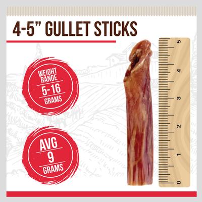 Gullet Sticks Beef Flavored 4 to 5-in Dog Chews, 16-oz pouch