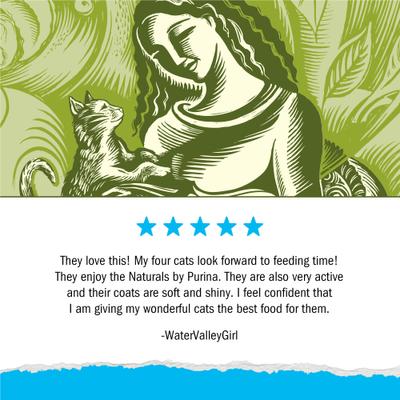 Alimento seco para gatos Naturals Indoor con pollo y pavo real, bolsa de 13 lb