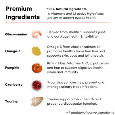 Daily Multi Turkey & Pumpkin Flavored Chews Vitamin Supplement for Dogs, 90 count