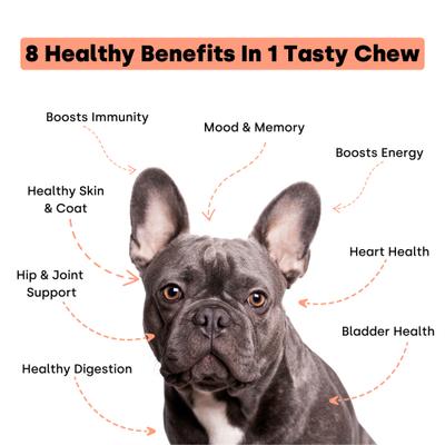 Daily Multi Turkey & Pumpkin Flavored Chews Vitamin Supplement for Dogs, 90 count