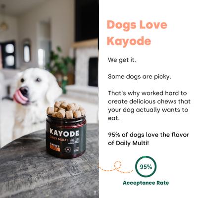 Daily Multi Turkey & Pumpkin Flavored Chews Vitamin Supplement for Dogs, 90 count