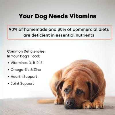 Daily Multi Turkey & Pumpkin Flavored Chews Vitamin Supplement for Dogs, 90 count