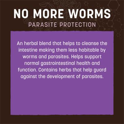 Apothecary No More Worms Herbal Liquid Digestive Supplement for Dogs & Cats, 2-fl oz bottle