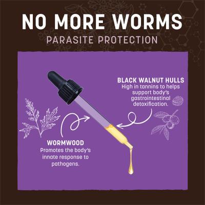 Apothecary No More Worms Herbal Liquid Digestive Supplement for Dogs & Cats, 2-fl oz bottle