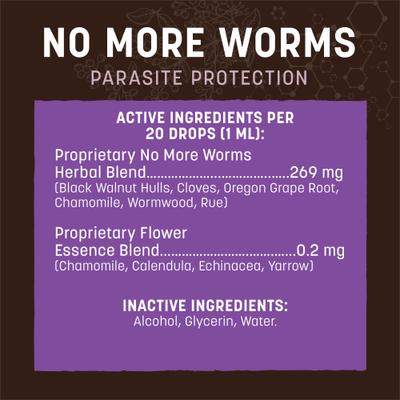 Apothecary No More Worms Herbal Liquid Digestive Supplement for Dogs & Cats, 2-fl oz bottle